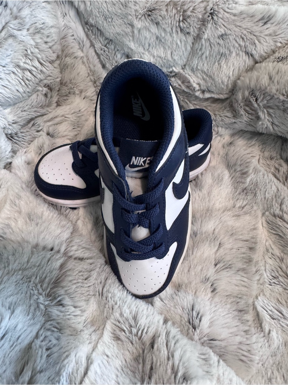 Nike Kids Navy and White Dunk Low